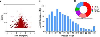 First Succinylome Profiling of Vibrio alginolyticus Reveals Key Role of Lysine Succinylation in Cellular Metabolism and Virulence